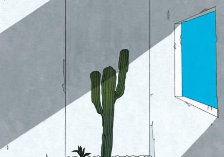 cactus