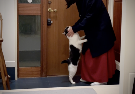 LOISIR 前田敬子 えいた 保護猫