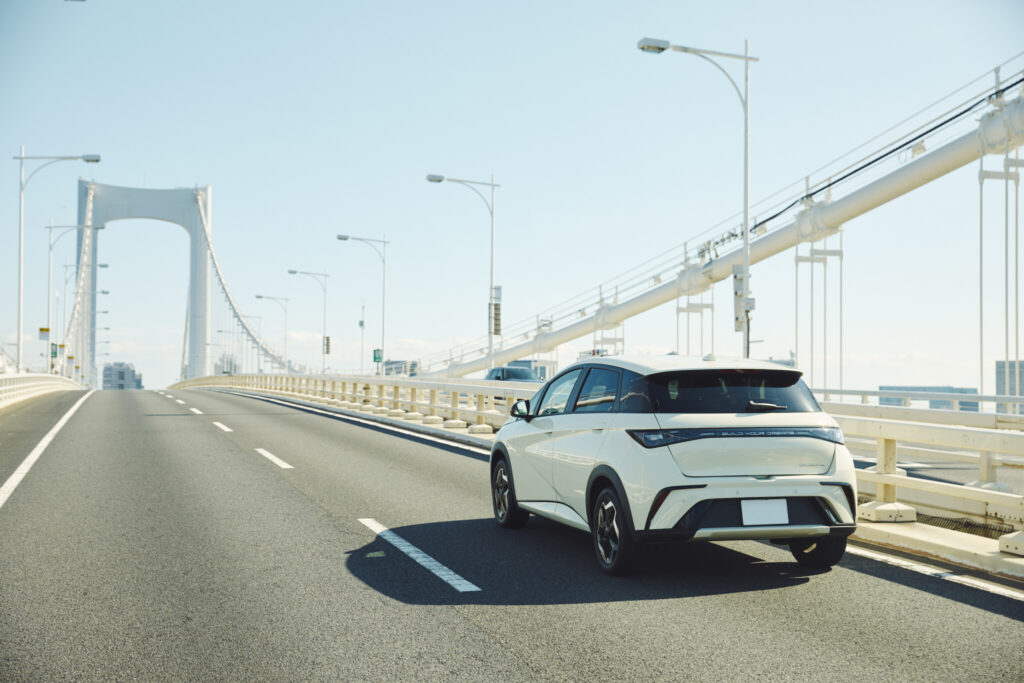 BYD ドルフィン DOLPHIN 8