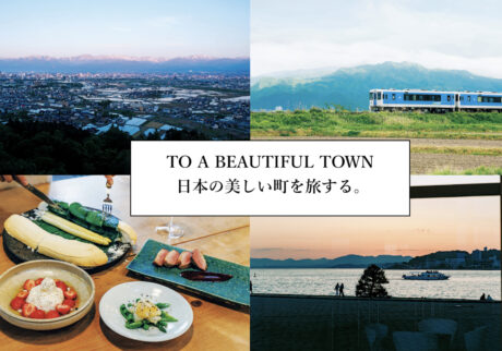 townguide banner